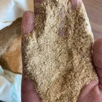فروش عمده سبوس برنج