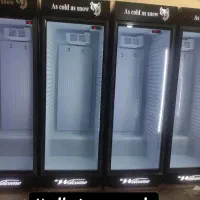 یخچال ایستاده مدل دایر وولف