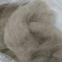 پشم گوسفند