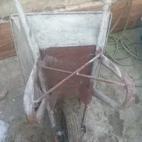 فرقون