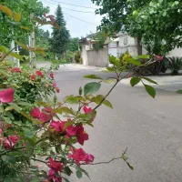 زمین250mآقاسید-شریف