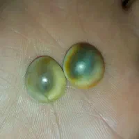 گردنبند