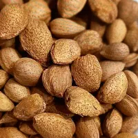 بادام دوقلو پوست کاغذی به شرط