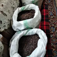 کشمش|خوردنی و آشامیدنی|قم, بنیاد|دیوار