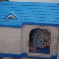 خانه سگ