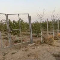 باغ-میوه-شهرکی-500-متری-فوری-فروشی