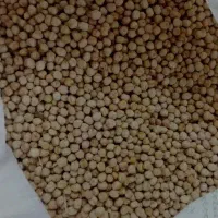 نخوددرجه یک