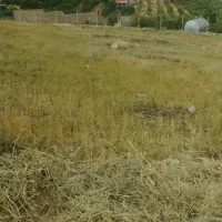 زمین-کشاورزی-کنار-کمربندی-نزدیک-دانشگاه-کشاورزی