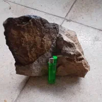 فسیل صدف معاوضه