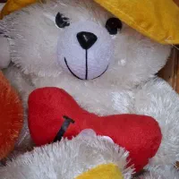 عروسک نو و تازه