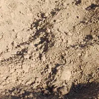 خاک باغچه