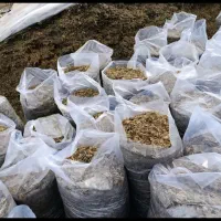 کیلوی ۱۳۰۰۰هزار تومان