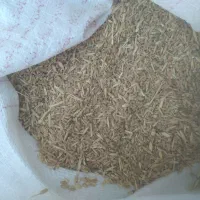 گندم شکسته