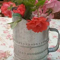 استند|آب‌چکان و نظم‌دهنده ظروف|تهران, حافظیه|دیوار