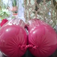 سوسیس کالباس ارگانیک خانگی