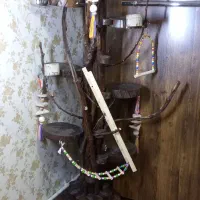 درختچه و نشیمن طوطی وسایرپرندگان