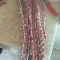 غذای سگ استخوان راسته گوسفندی