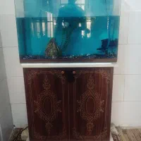 اکواریوم ماهی