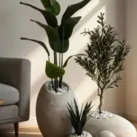 گلدان های کنار سالنی دفرمه
