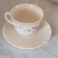 ظرف نونو