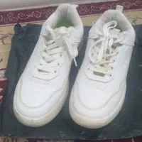 کفش چرم و اسپرت