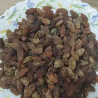 کشمش آفتابی مویز گوشتی برگه زردآلو آفتابی  لواشک