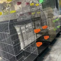 قفس / ضد زنگ و مقاوم در برابر نوک زدن* ۴لیوانی