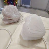 صدف چراغ دار نمکی