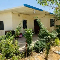 اجاره کوتاه مدت سوییت