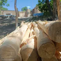 فروش چوب و تخته