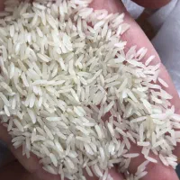 فروش برنج عمده پاکستانی