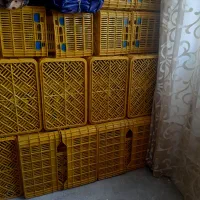 سبد|فروشگاه و مغازه|کرمانشاه, |دیوار