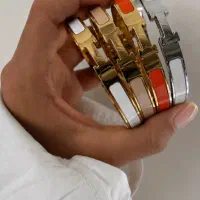 بدلیجات شیک اقتصادی