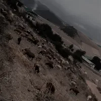فروش خانه در روستای زیبای فریم