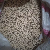 لوبیا