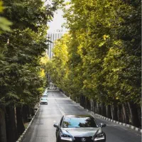 زمین کارگاهی/ دکتر حسابی