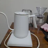 کتل برقی