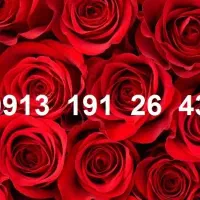 0913.19.18.405|سیمکارت|رفسنجان, |دیوار