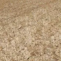 فروش-مجوز-مرغداری