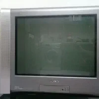 تلویزیون|تلویزیون و پروژکتور|رشت, کوی مهر|دیوار