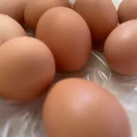 تخم مرغ محلی