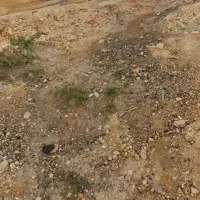 زمین-کشاورزی
