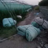 گروه پلاستیک کشی گلخانه هستم