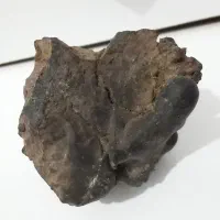 شهاب سنگ 60 درصد جذب اهنربا.