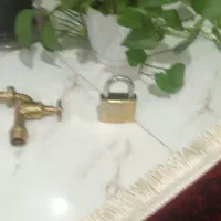 گل پتوس|گل و گیاه طبیعی|قزوین, |دیوار