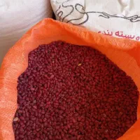 لوبیا قرمز و حبوبات