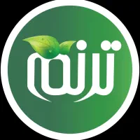 استخدامی