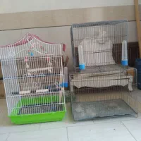 قفس پرنده
