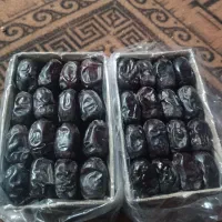 خرمایی مضافتی ،800گرمی 10تن موجود