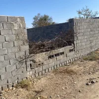 زمین-فین-بزرگ-یزدآباد